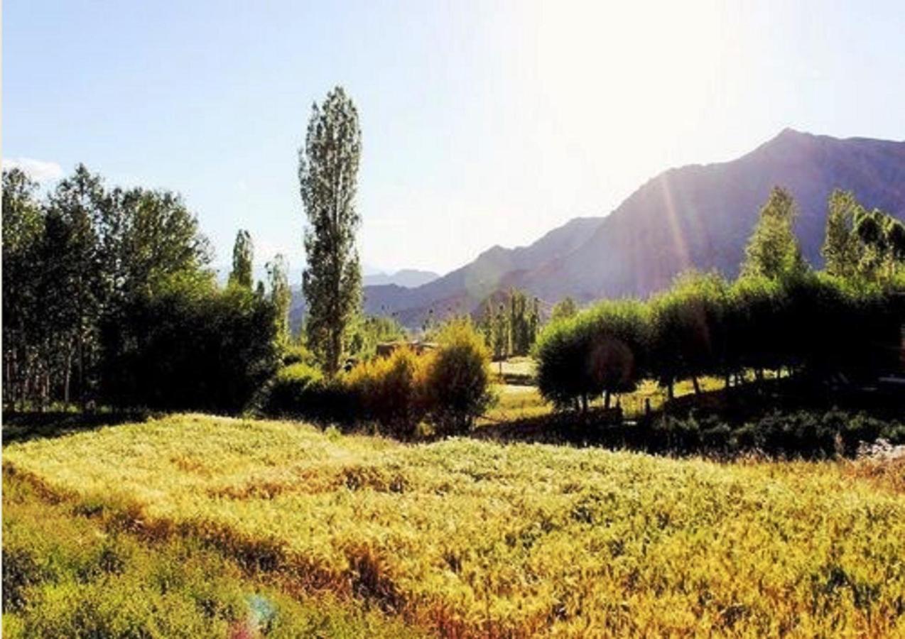 Hotel Himalayan Residency Ladakh Léh Exteriér fotografie